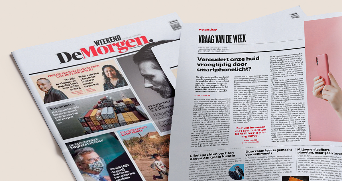 De Morgen
